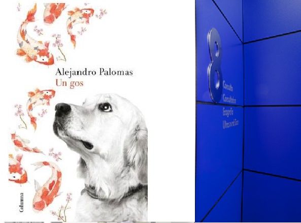 Un gos d'Alejandro Palomas