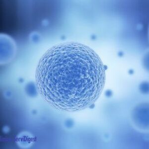 comprar biofeedback anorectal