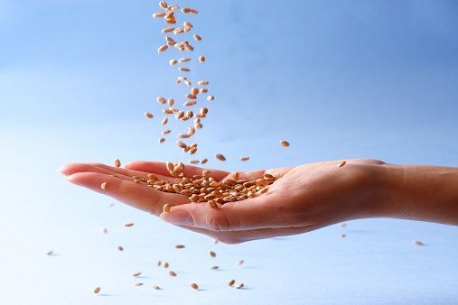 Día Nacional del Celíaco