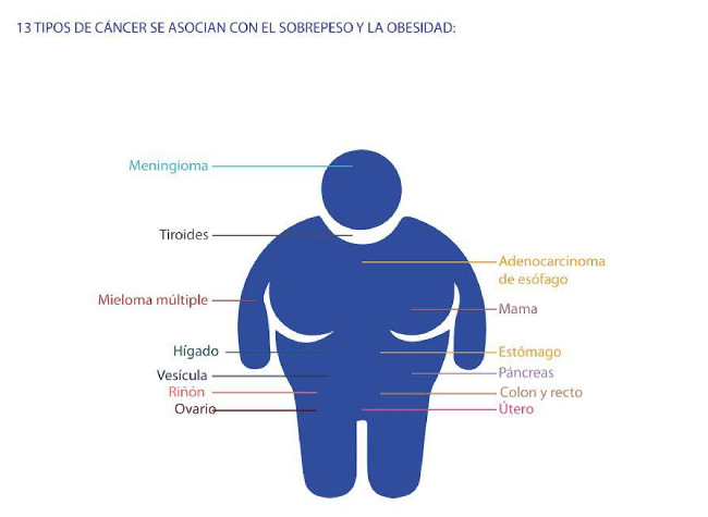 obesidad cáncer
